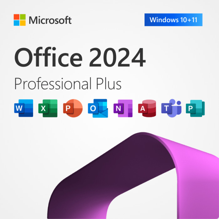 Mettez à niveau votre Office avec Microsoft Office 2024 Professional Plus Digital Key pour PC ou Mac
